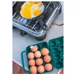 12 EGG CONTAINER